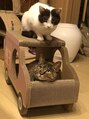 プレミアムバーバー 表参道店(PREMIUM BARBER produce by HIRO GINZA) 猫も2匹います
