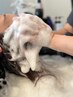 【癒しのひと時を】FAVON＋ヘッドスパ＋シャンプ－＆ブロ－