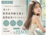 【注目!!】カット+髪質改善縮毛矯正+髪質改善トリートメント¥33440→¥19800