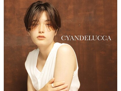 シアンデルカ(CYANDELUCCA)の写真