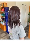 ウルフミディアムレイヤー