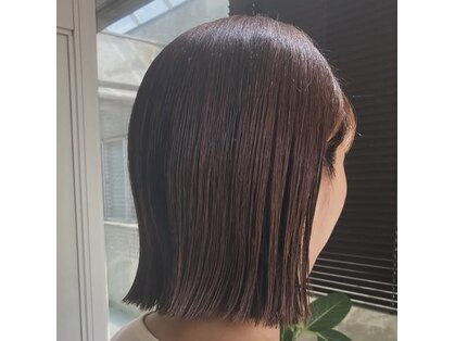 アサ(asa)の写真