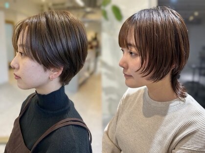 ウィルドレス(WiLL DRESS)の写真