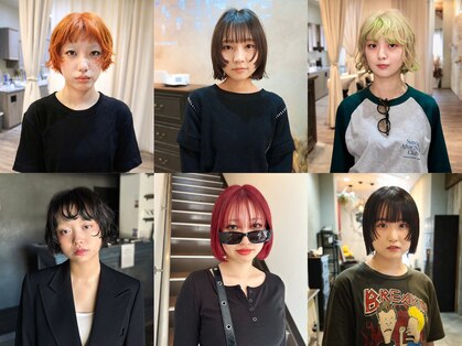 クイン(qin)の写真