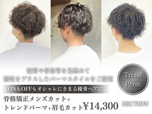 セクション(SECTION)