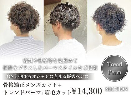 セクション(SECTION)の写真