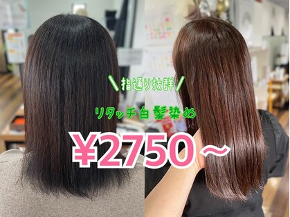 カラーのちから 岐阜河渡店の写真