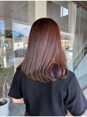 王道ブラウンカラー×20代ツヤ髪セミロング