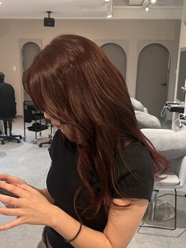 チェリーレッド/レッドブラウン