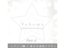 レブリン酸×高分子活性ケラチン【ベホマトリートメント】[成増/地下鉄成増/髪質改善/縮毛矯正]