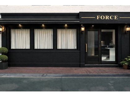 フォース(FORCE)の写真