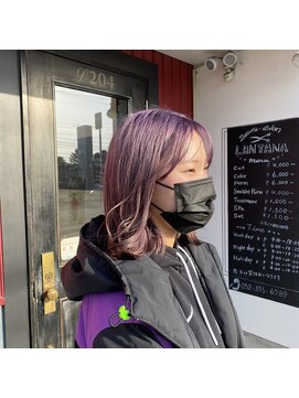 ランタナ(Lantana) 韓国ペールバイオレット