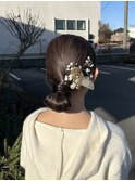 タイトシニヨン