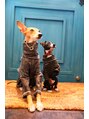 マドゥー(Madu)&nbsp;最近ワンコ飼い始めました^_^たまにお店遊びに来てます！