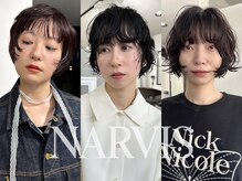 ナービス(NARVIS)