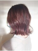 『PETZ本店』半田マイケル ラベンダー ピンク☆