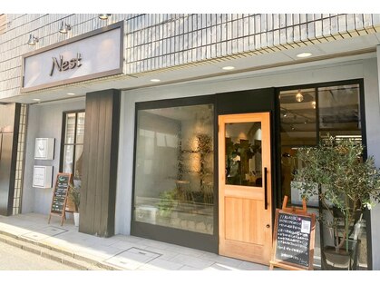 ネスト(Nest)の写真