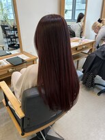 ヘアーポケット リタ(HAIR POCKET ritta)&nbsp;ツヤ感たっぷりカシスブラウン