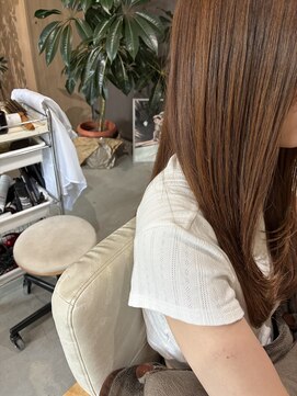本と南風 guest design