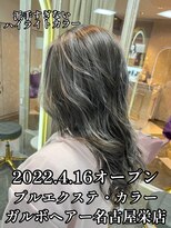 ガルボヘアー 名古屋栄店(garbo hair) #名古屋 #栄 #ハイライト #アッシュ