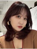 韓国ヘアーハッシュカットレイヤーカットハイライトカラー