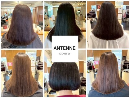 アンテーヌオペラ(ANTENNE opera)の写真