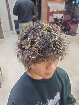 グルーマーズトウキョウ(GROOMER/S TOKYO) 【GROOMER/S 丸山】 プードルパーマ ハイライト スペインカール