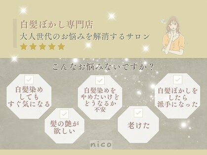 ニコ(nico)の写真