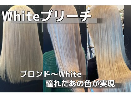 オリノ(olino)の写真