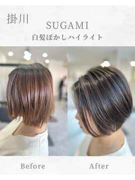 スガミ(SUGAMI) 白髪ぼかしハイライト/脱白髪染め