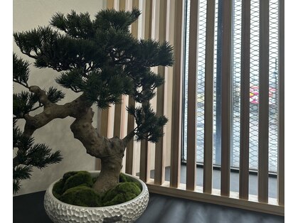 オーラ(AuRa)の写真