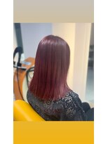 ソーホー 八日市店(SOHO)&nbsp;ダブルカラー ×ワインレッド