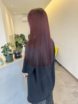 フェーディン(fa/din) レッドブラウン