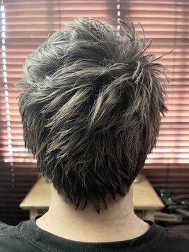 ヴァンファミリー アピタ福井飯塚店(Vanfamily) メンズシルバーアッシュショート
