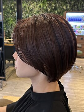 インデペンデンス(independence) ショート×レッドブラウン