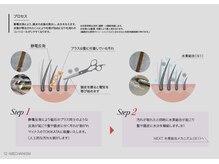 ☆TOKIKATAシザー☆