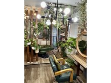 ゾアン(Zoan)