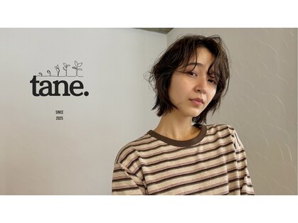 タネ(tane.)の写真
