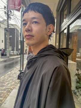 ショートマレットウルフ