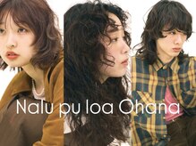 ナループロアオハナ(Nalu pu loa ohana)