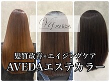 ヴィフアヴェダ(Vif AVEDA)