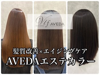 hair atelier Vif AVEDA【ヘアアトリエヴィフアヴェダ】