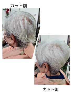 パピー 上品グレイヘア
