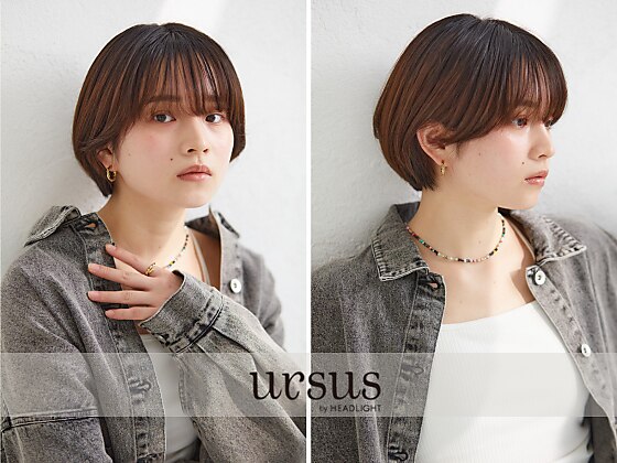 アーサスバイヘッドライト 新潟小新店(ursus by HEADLIGHT アーサスバイヘッドライト 新潟小新店(ursus by HEADLIGHT