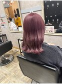ピンクラベンダー