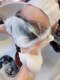 アドゥーヘアー(A do hair)の写真/日々の疲れを癒してリフレッシュ！人気の極上スパで髪と心にご褒美を♪
