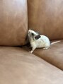 ヘアーワークスタジオ ノイズ(noize)&nbsp;小動物のデグー飼ってます！お話合う方いたら嬉しいです＾＾