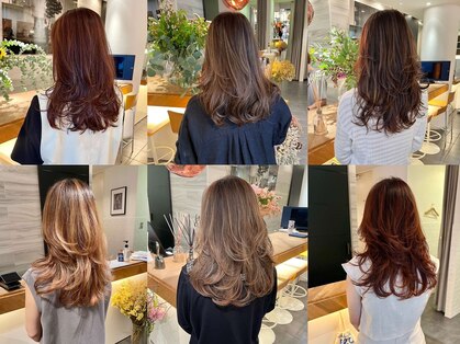 エイゾー(EIZO)の写真