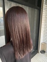 ネリネ(Nerine)&nbsp;ラベンダーブラウン