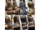 ドーズ(DOUZE)の写真